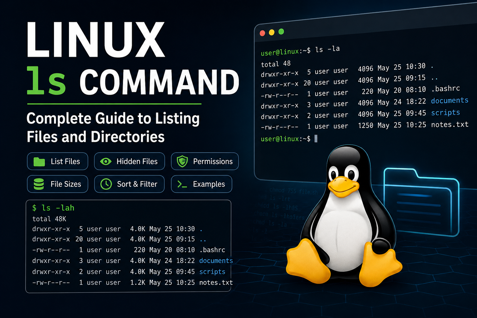 Linux ls Command: Complete Guide With Examples, Options & Tips